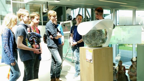 Ecosysteem in een glazen bolEcosystem in a glass globe | Photo Anneke de Vries