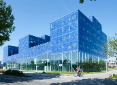 Bernoulli Institute for Mathematics, Comupter Science and Artificial Intelligence  