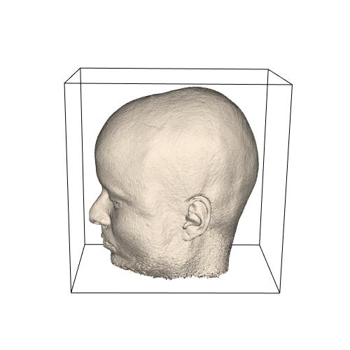 Iso-surface human head (NM)