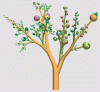 Botanical tree