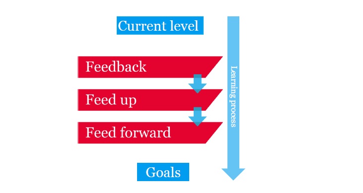 Feedback braintrainer