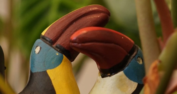 Autonomie door taal? Latijns-Amerikaanse migrantenvrouwen in Nederland