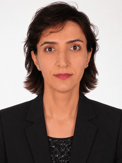 dr. B. (Bahar) Haghighat