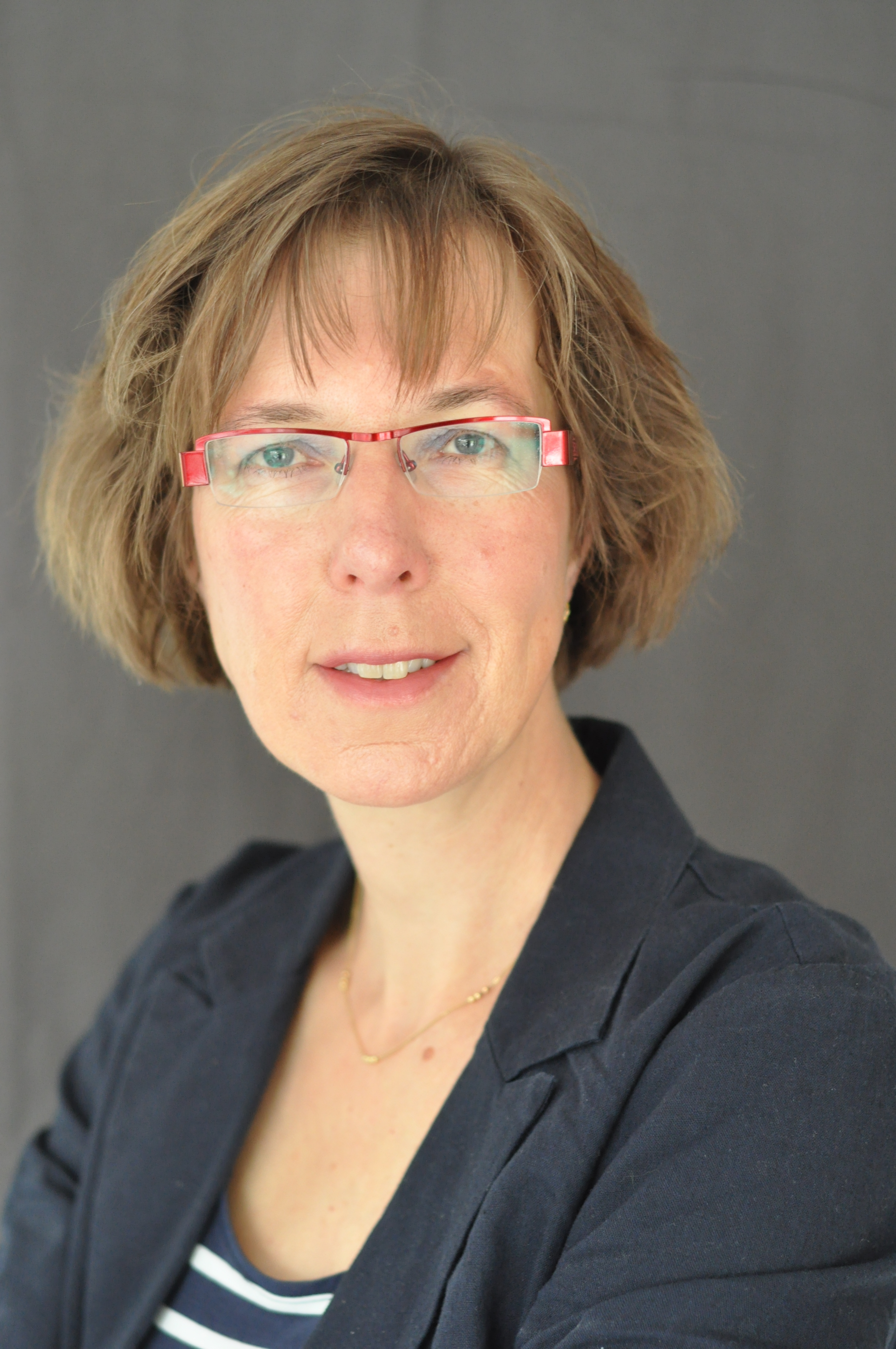 prof. mr. dr. J.N. (Hanny) Schutte-Veenstra