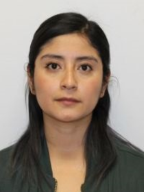 L. Capulin Flores, MSc