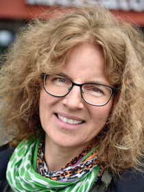 prof. dr. T. Haartsen