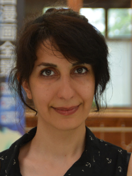 Z. (Zeinab) Sattari Najafabadi, MSc