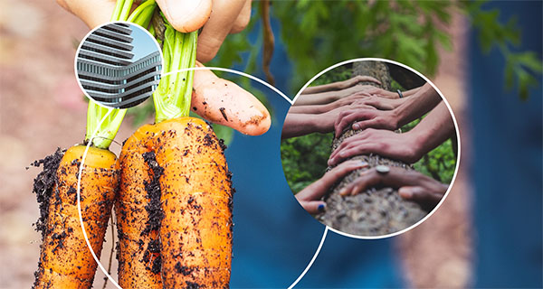 Sustainable Society