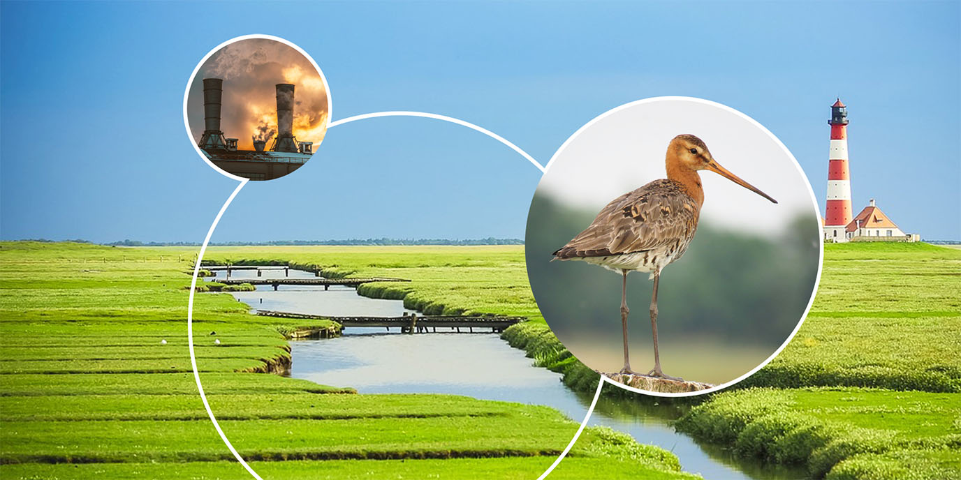 Sustainable Society