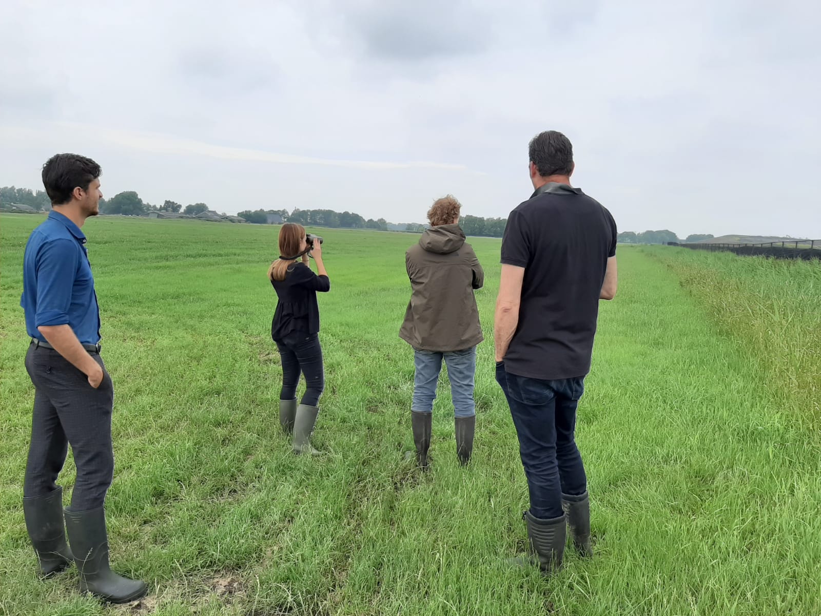 Ecologen RUG onderzoeken effect Groningse zonneparken op biodiversiteit en bodem in opdracht van Provincie Groningen en Solarfields.