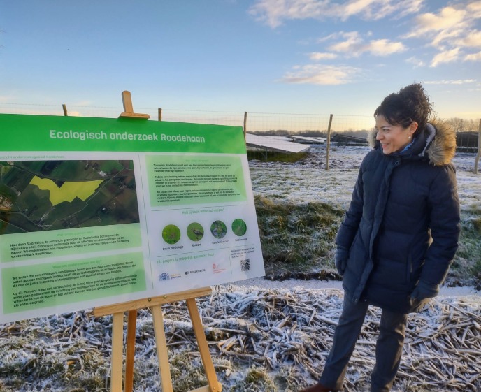 Bord Ecologisch onderzoek Roodehaan