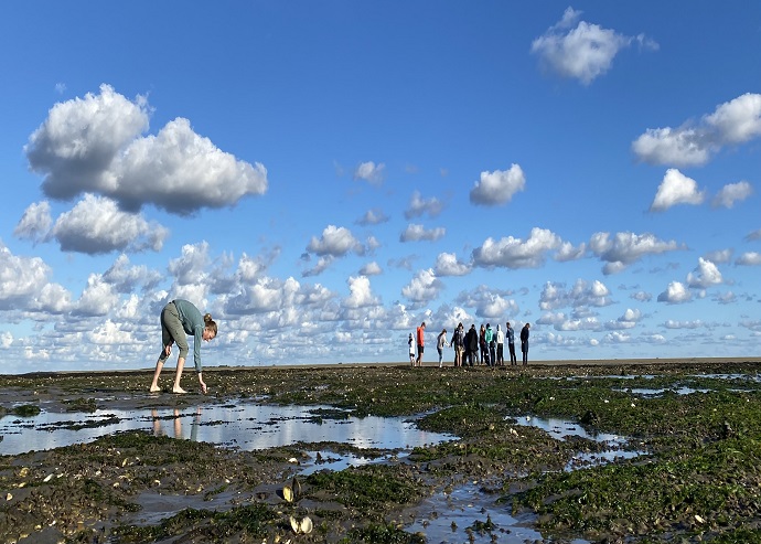 Het Wad, een natuurlijke collegezaal als het gaat om biodiversiteit