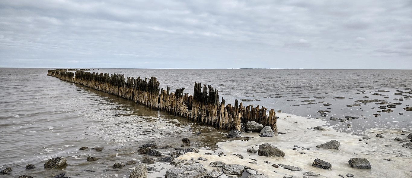 Kijkje over de Wadden richting Schiermonnikoog. Foto: Marco in 't Veldt