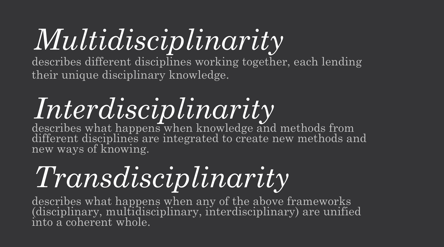 Interdisciplinarity