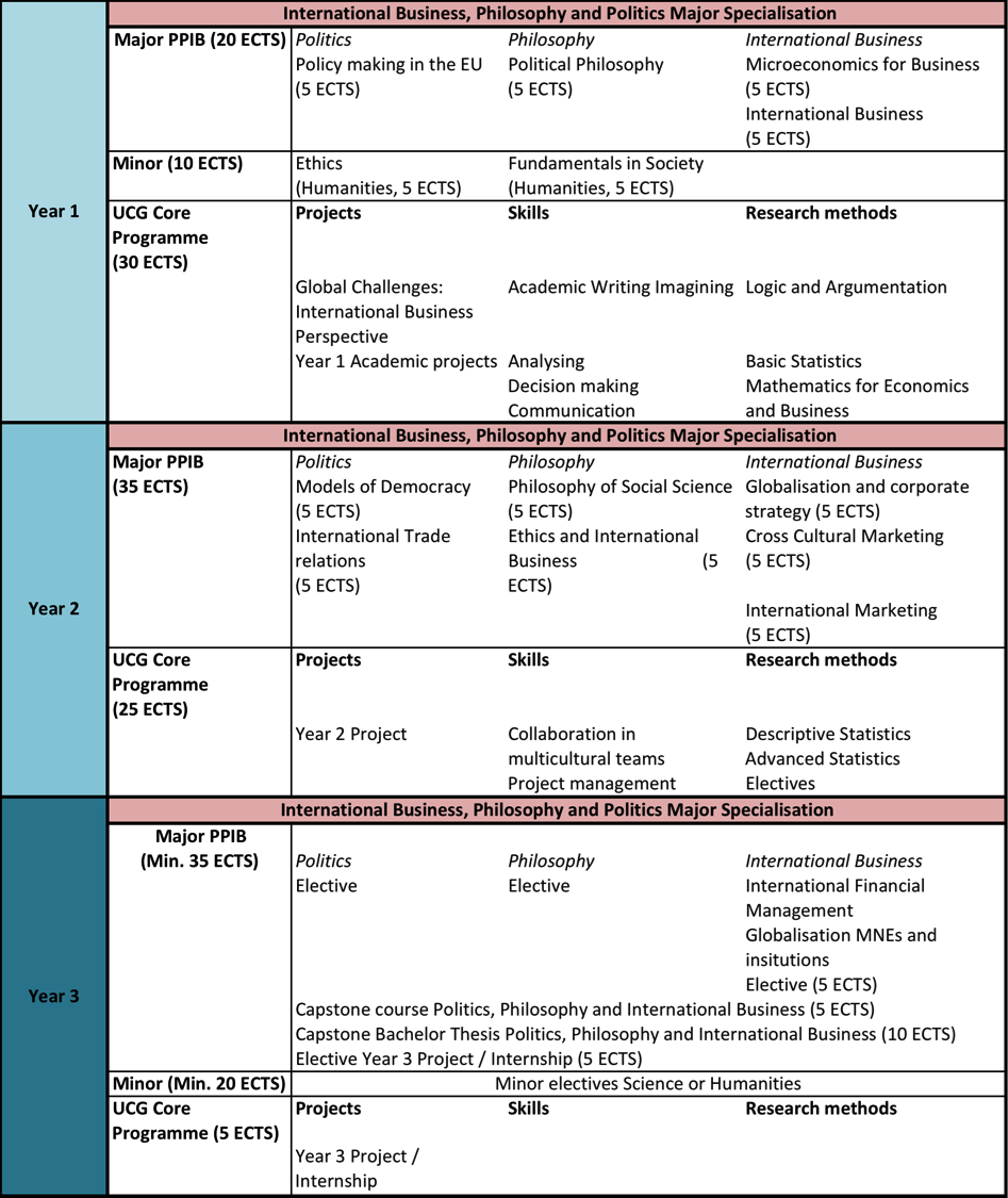 The BA programme for the PPIB specialisation