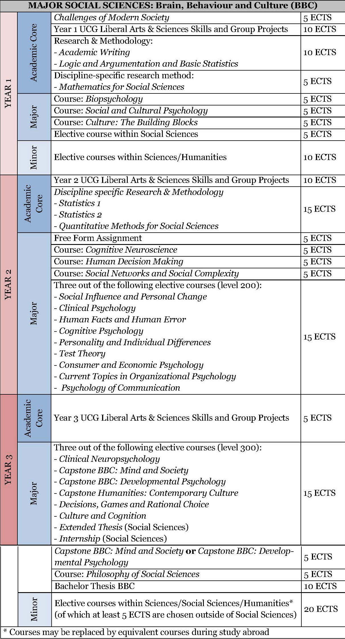 Brain, Behaviour and Culture specialisation