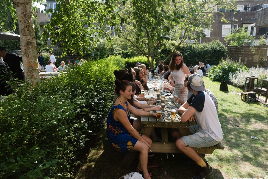 Celebrations in the Faculty garden