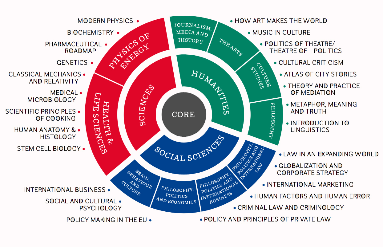 Majors and Major specialisations