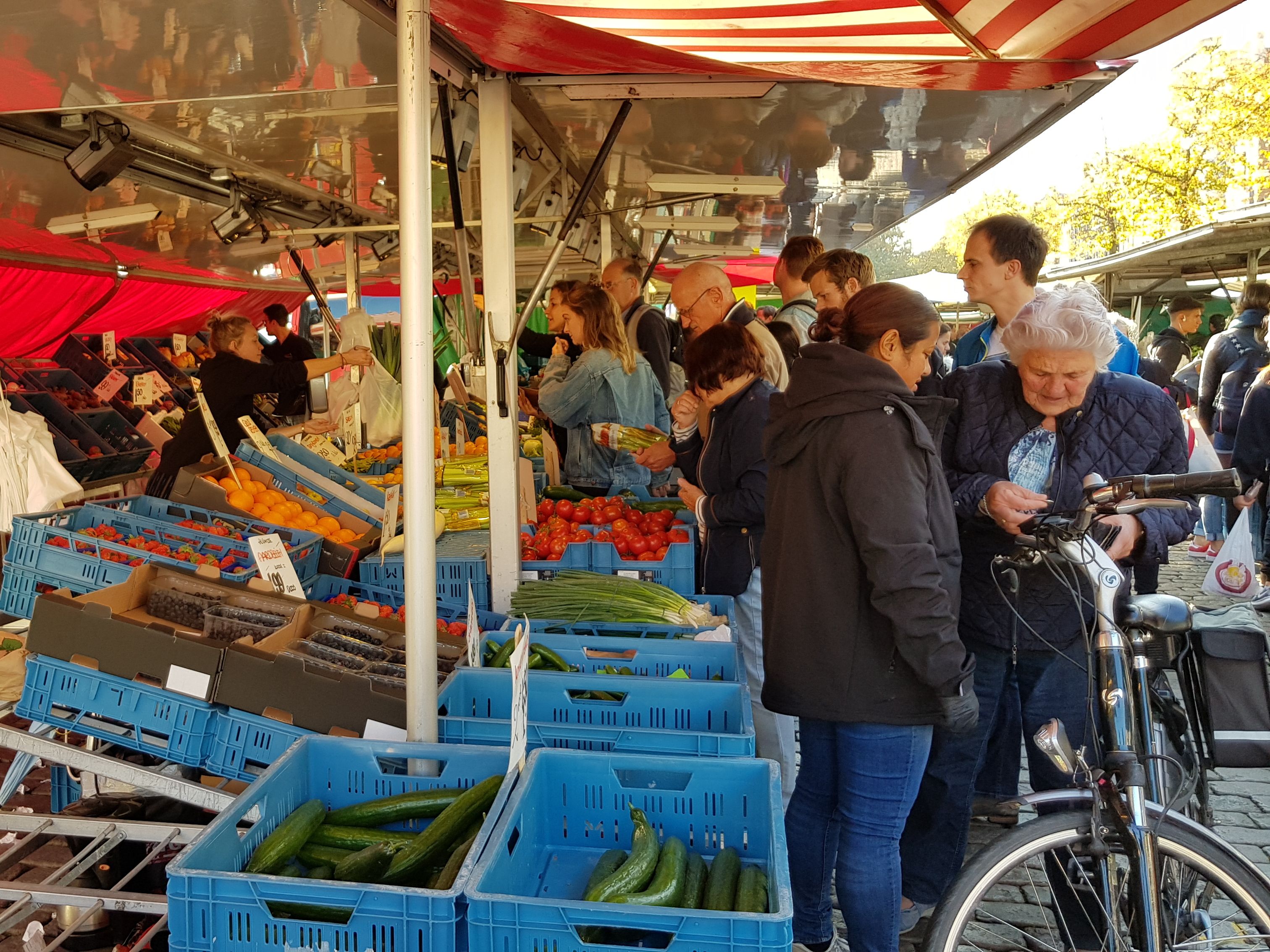 Dutch market