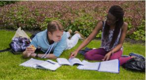 Build your curriculum