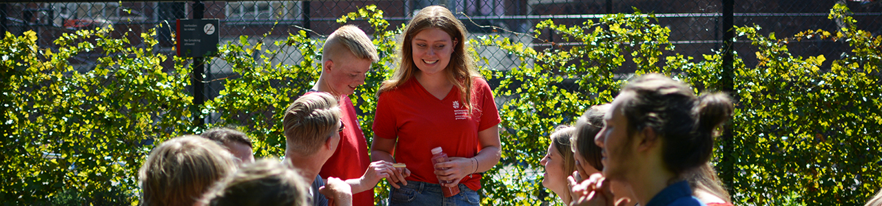 Visit us during an Experience Day!