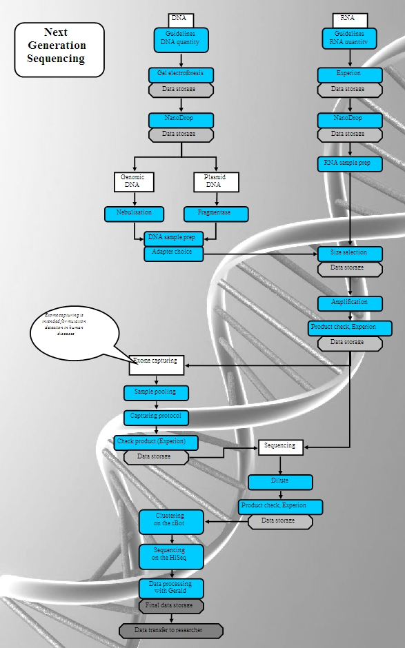 The sequencing workflow is part of the quality system