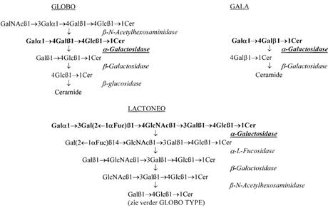 Schema