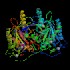 Galactose-1P-U-transferase