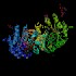 α-D-Galactosidase