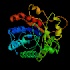 ß-Hexosaminidase-A+B