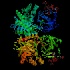 β- D- glucuronidase