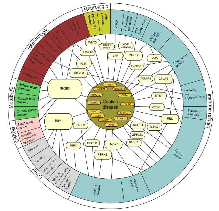 The genetic overlap of various auto-immune diseases