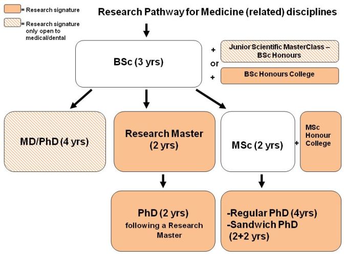 bachelor master phd system