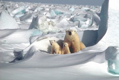familielezing-spitsbergen