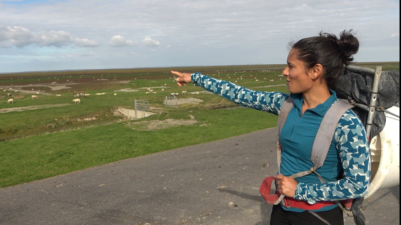 PhD-student Hannah Charan-Dixon talks about her research on salt marshes | Video Swimway/Koen Moons