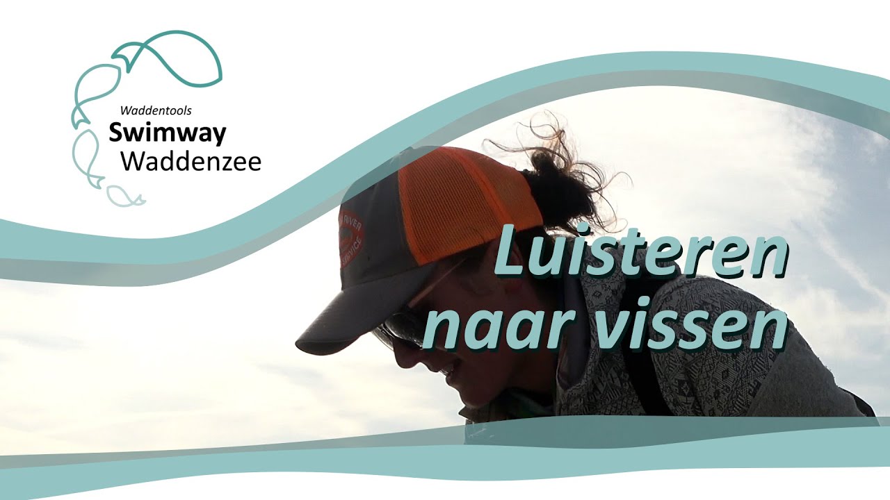 SWIMWAY WADDENZEE | Den Fischen zuhören