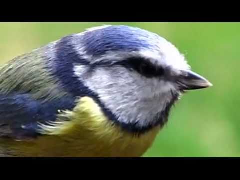 Adamsappel 2011/03: Daten, hoe doen we het?