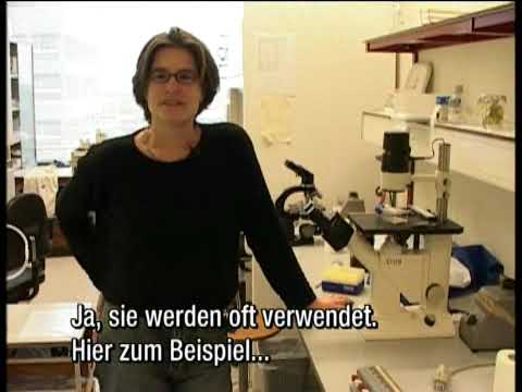 RU Adam's Appel: Frits Zernike
