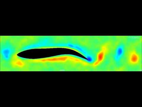 Hydrodynamic model of a swimming mullet