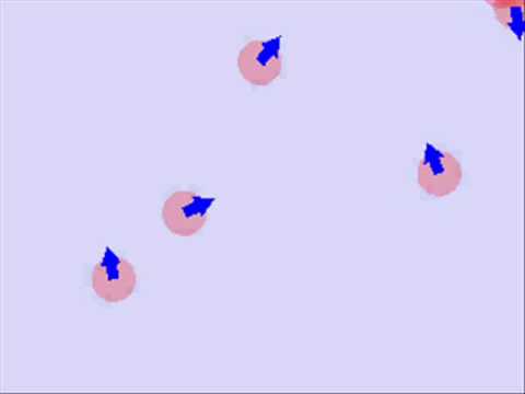 Social interaction model with reconciliation