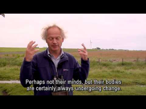 NWO Spinoza Prize for Theunis Piersma