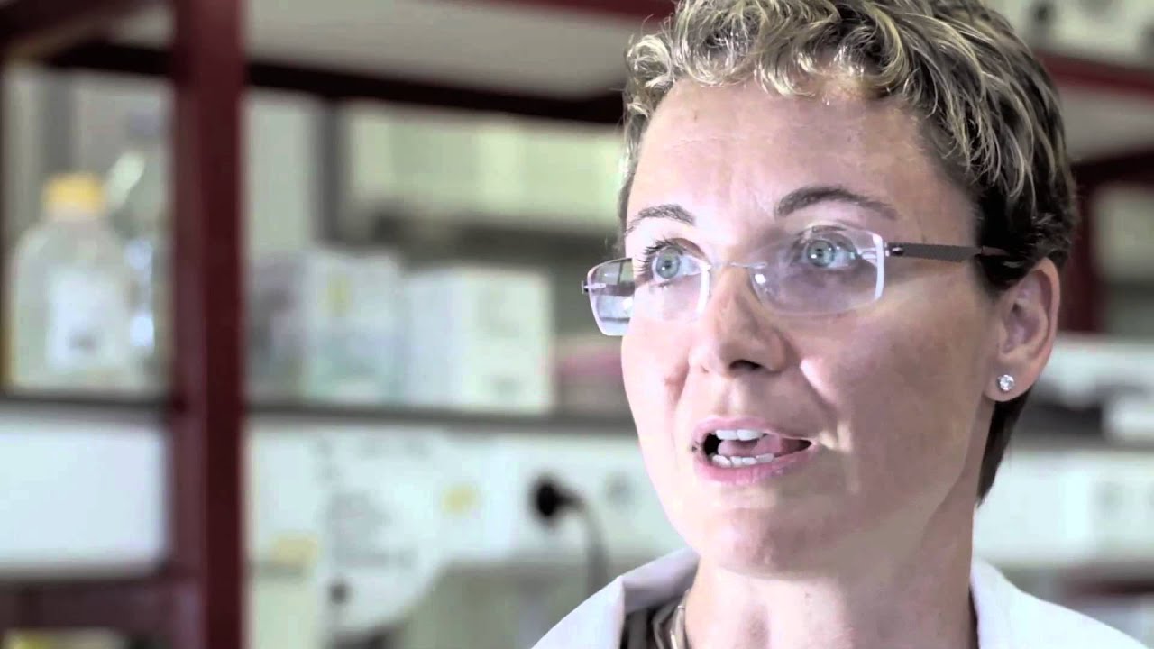 Rosalind Franklin Fellow: Angela Casini