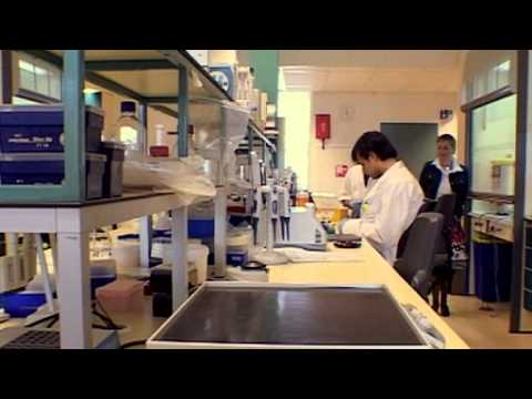 Adamsappel 2011/04: Kunnen we ons een fout permitteren?