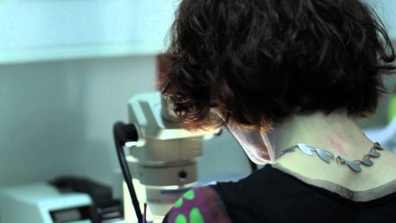 Rosalind Franklin Fellow: Pascal Dijkers