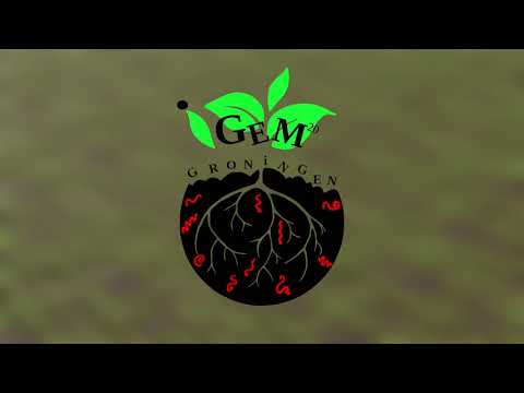 video over het RootPatch-project