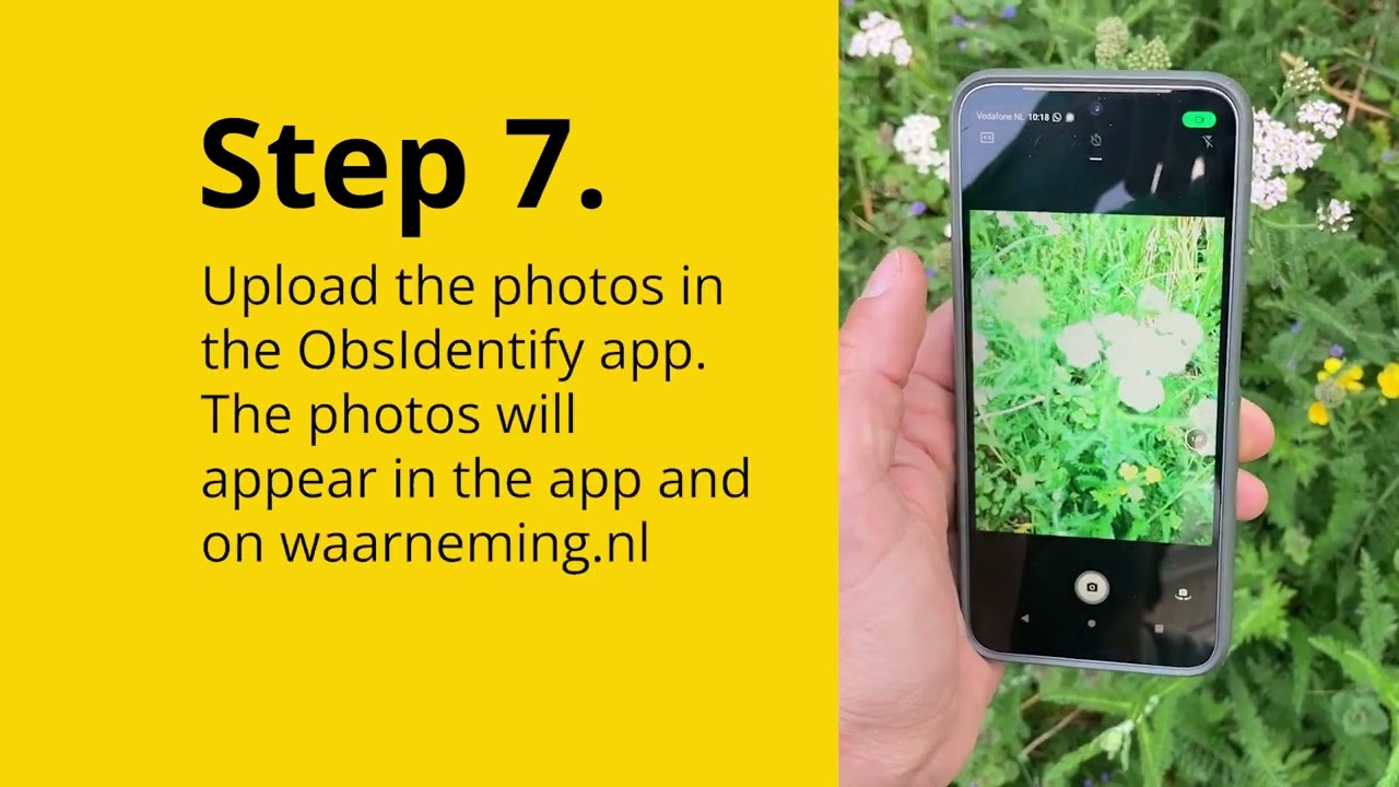 Instructie voor waarneming.nl en Obsidentify