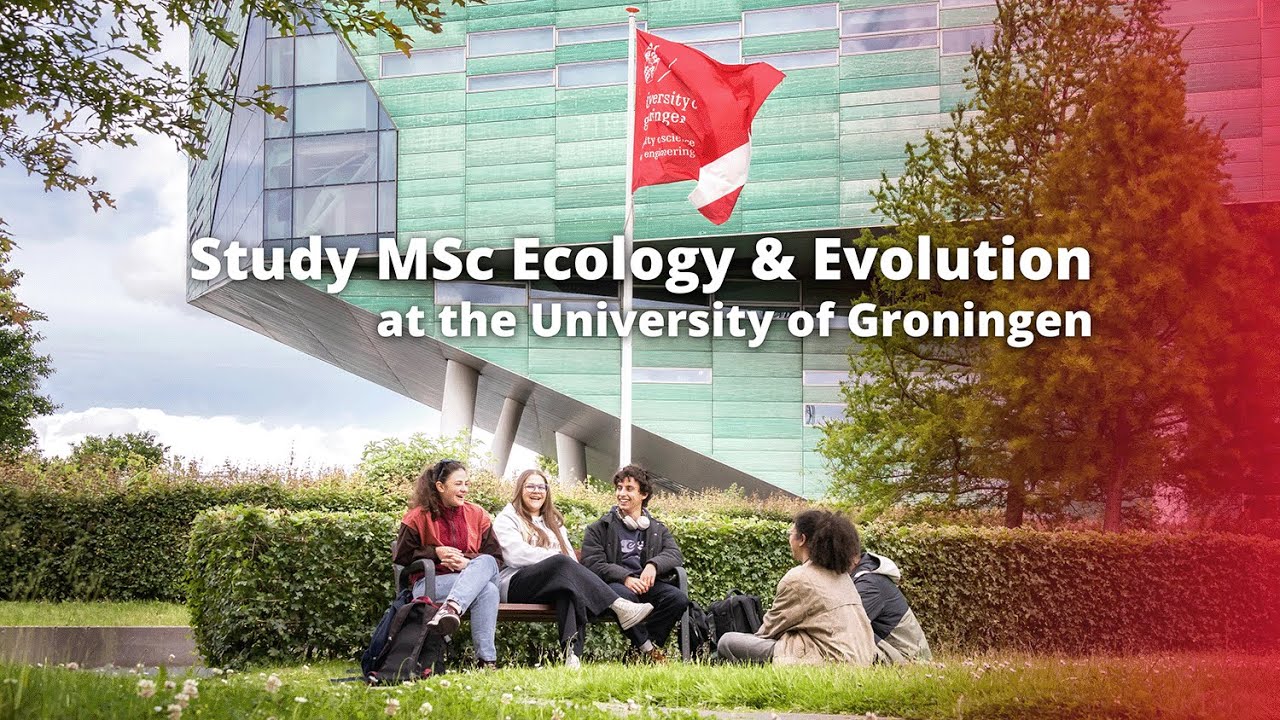 Study MSc Ecology and Evolution at the University of Groningen