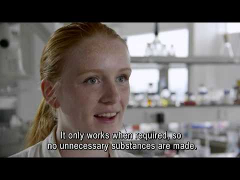 Students design a smart bandage