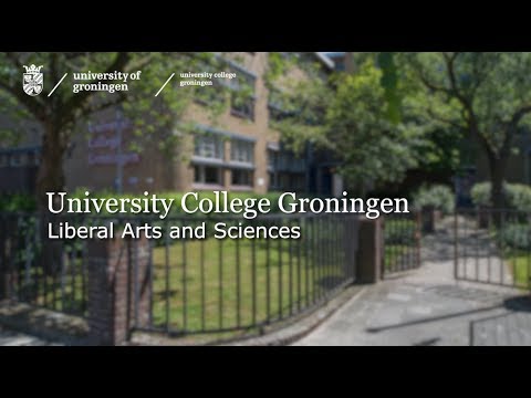 The added value of the Liberal Arts and Sciences