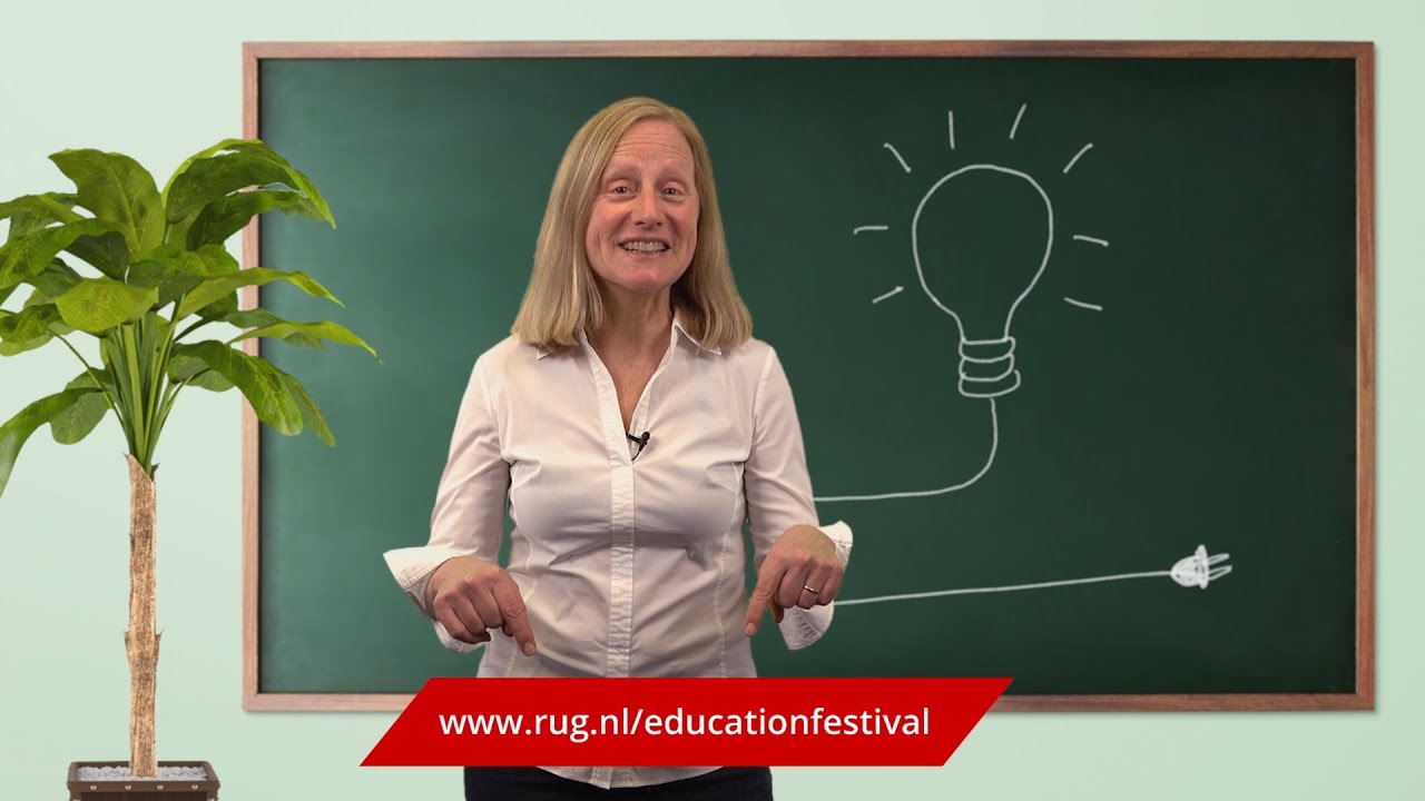 What is the Education Festival?